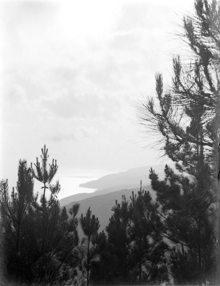 Panorama bij Rabocal op Madeira, Bestanddeelnr 252-1555