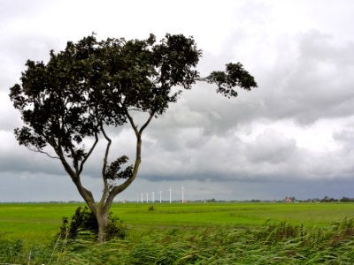 Parregaastermeer