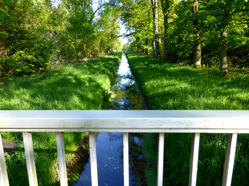 Parsauer Graben 2