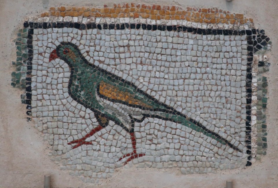 Parrot, c. 400 CE, Roman Syria, mosaic, Kimbell Art Museum