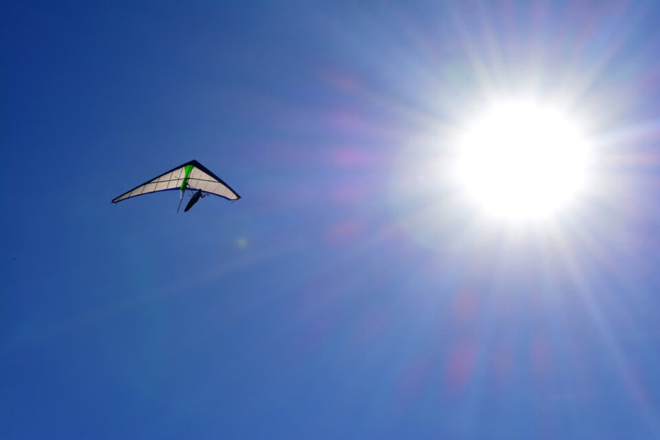 Flight nature sport