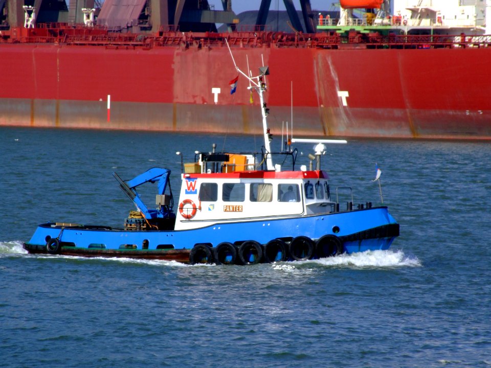 Panter, ENI 02313871 pic2