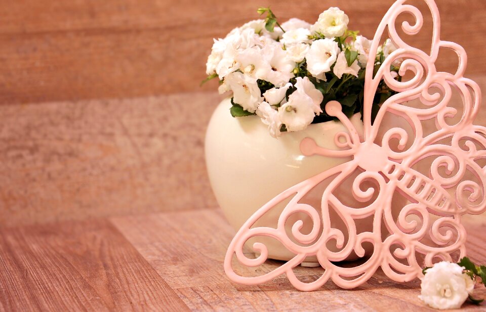 White flowers pink butterfly pink