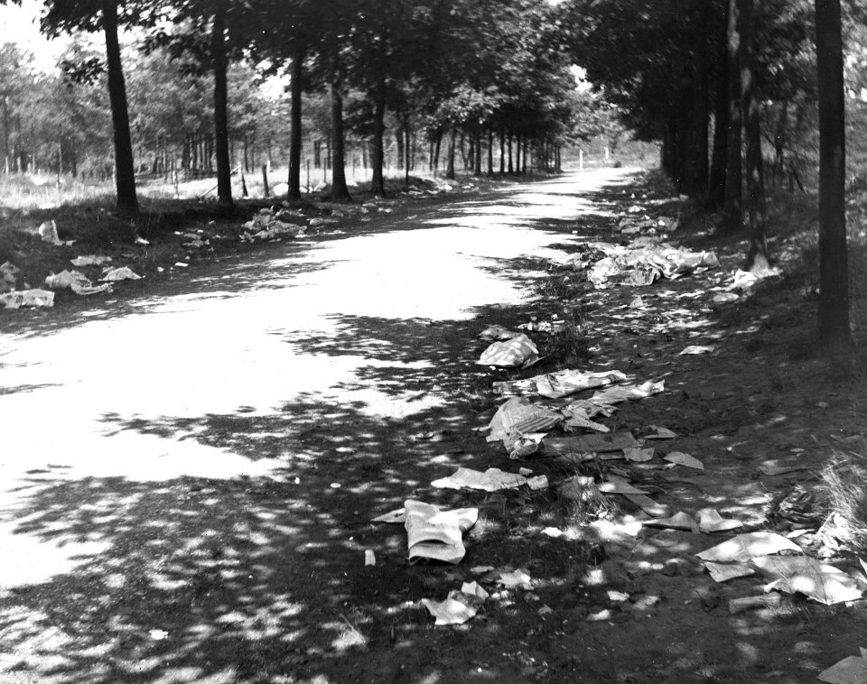 Papierhout buitenfeest van de Vara , Bestanddeelnr 193-0747