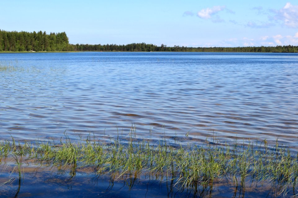 Papinjärvi Oulu 20140623 02