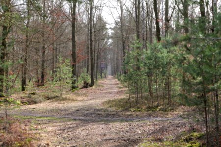 Parforceheide 2021-02-24 38