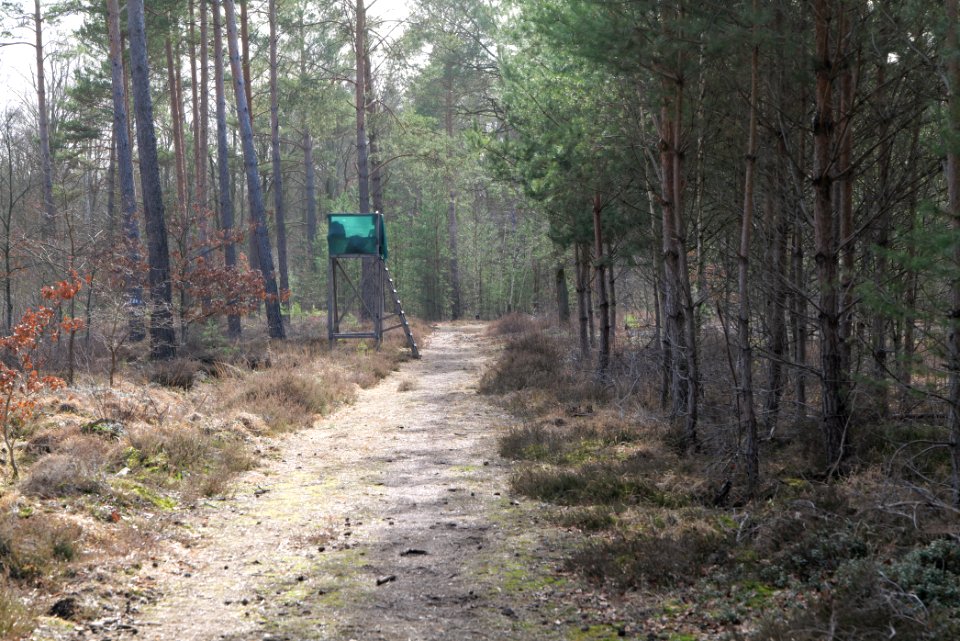 Parforceheide 2021-02-24 29