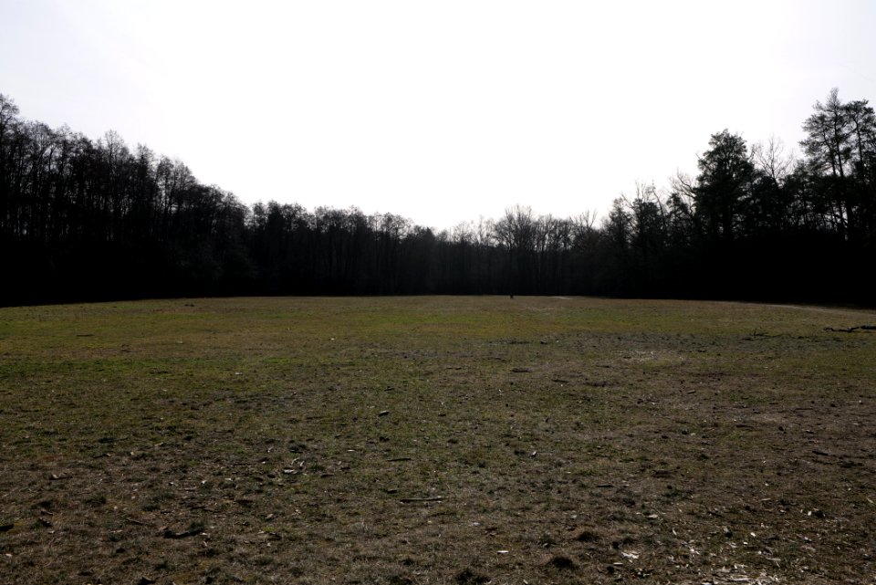 Parforceheide 2021-02-24 03