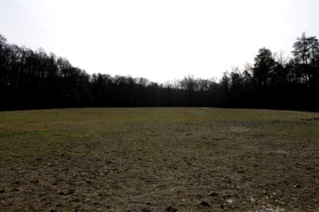 Parforceheide 2021-02-24 03