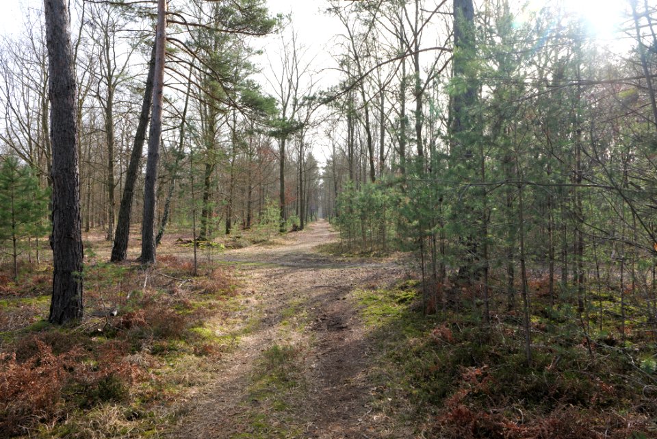 Parforceheide 2021-02-24 39