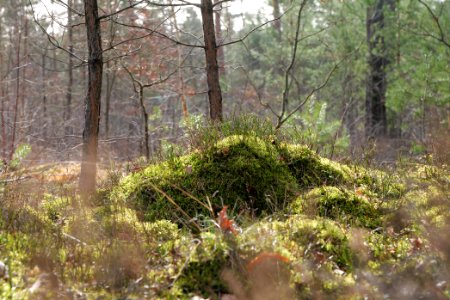 Parforceheide 2021-02-24 25