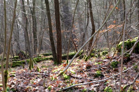 Parforceheide 2021-02-24 05