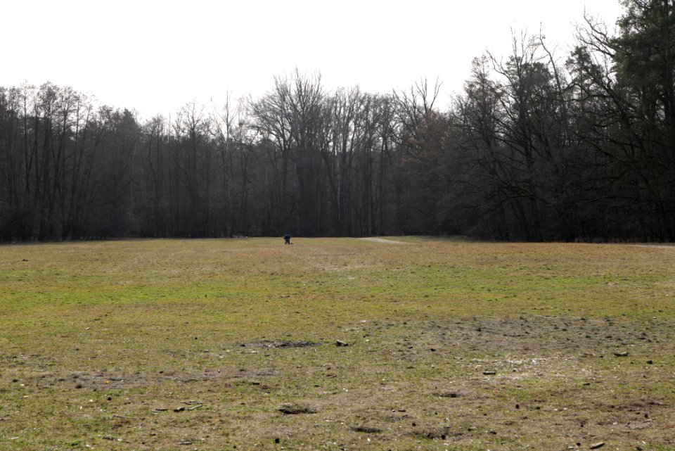 Parforceheide 2021-02-24 01
