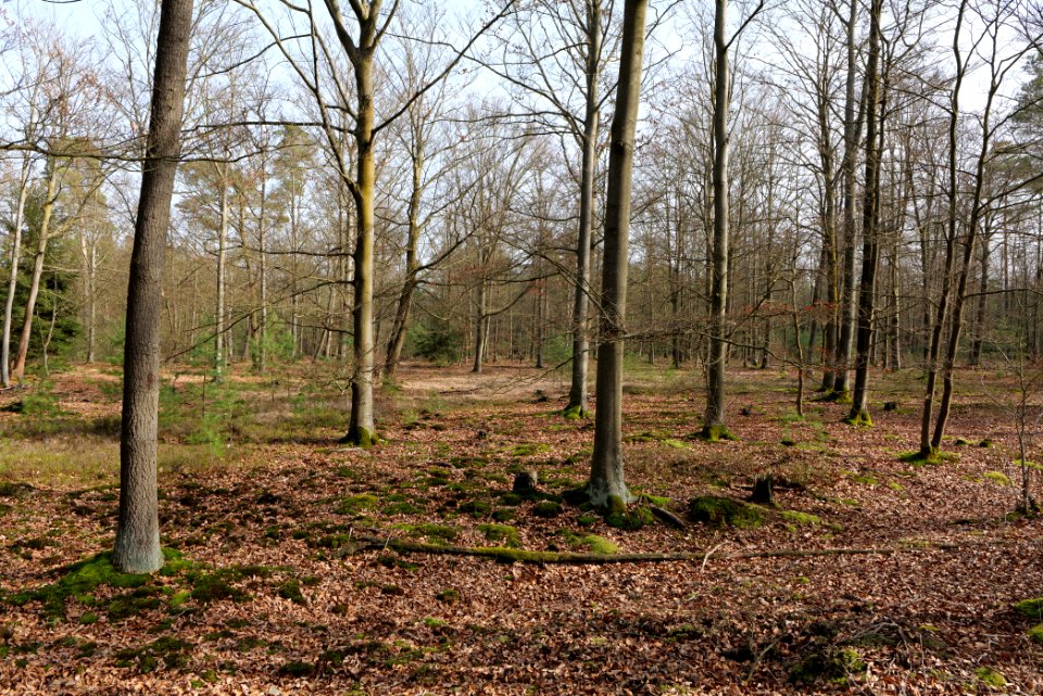 Parforceheide 2021-02-24 42