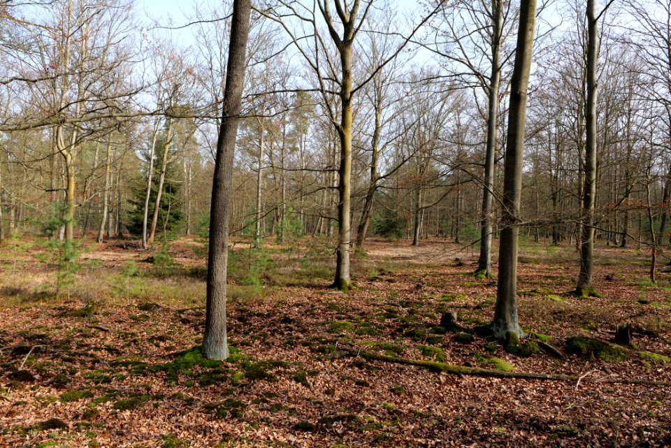 Parforceheide 2021-02-24 40