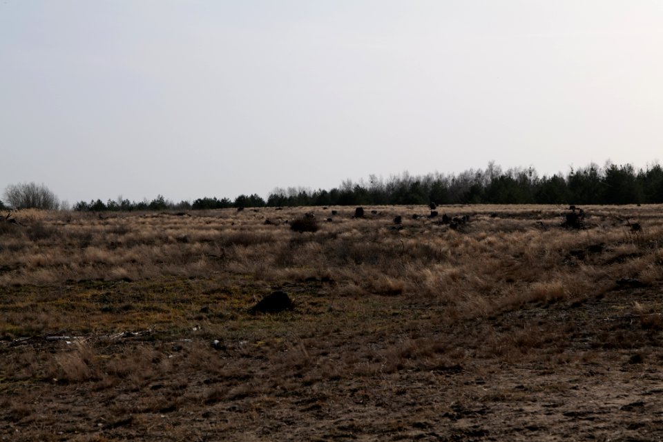 Parforceheide 2021-02-24 58