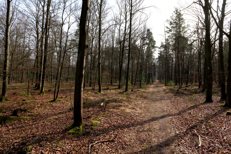Parforceheide 2021-02-24 44