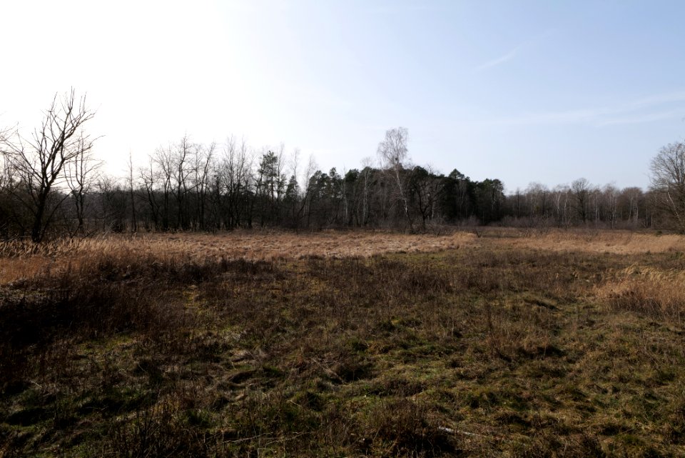 Parforceheide 2021-02-24 50