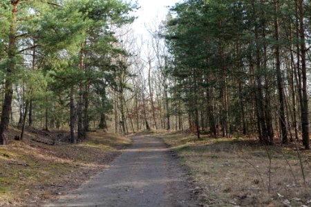Parforceheide 2021-02-24 101