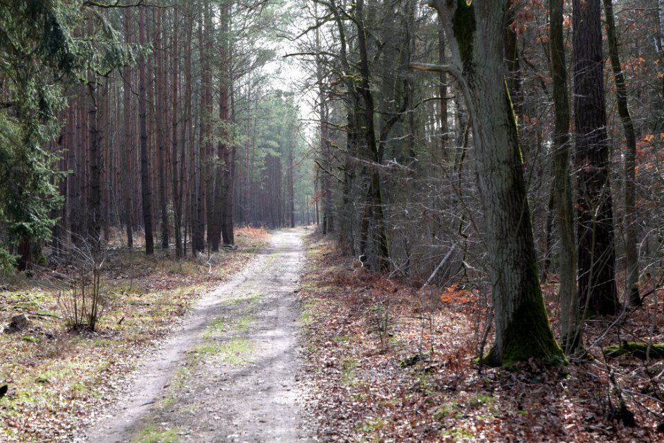 Parforceheide 2021-02-24 11