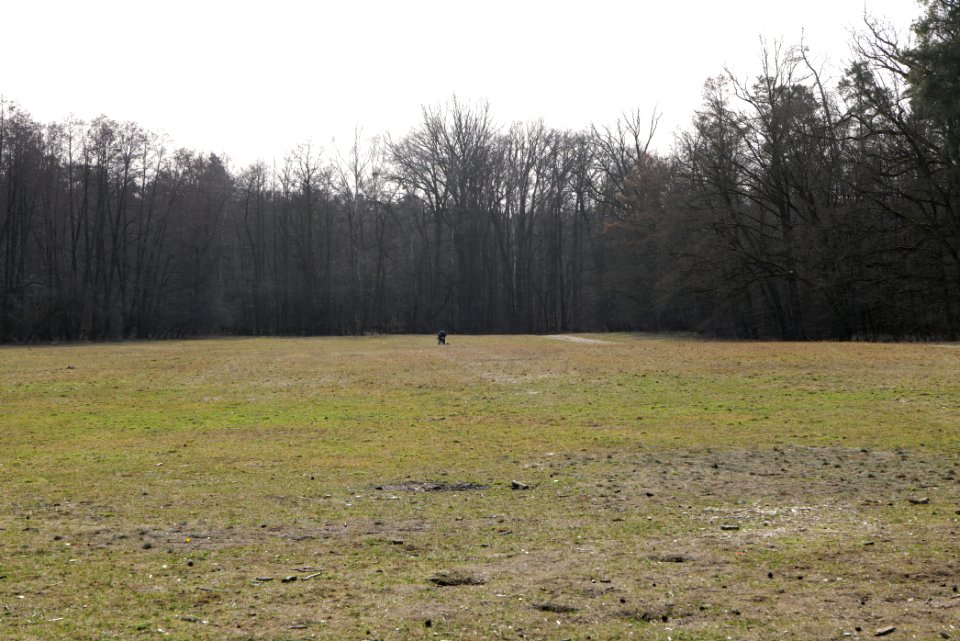 Parforceheide 2021-02-24 02