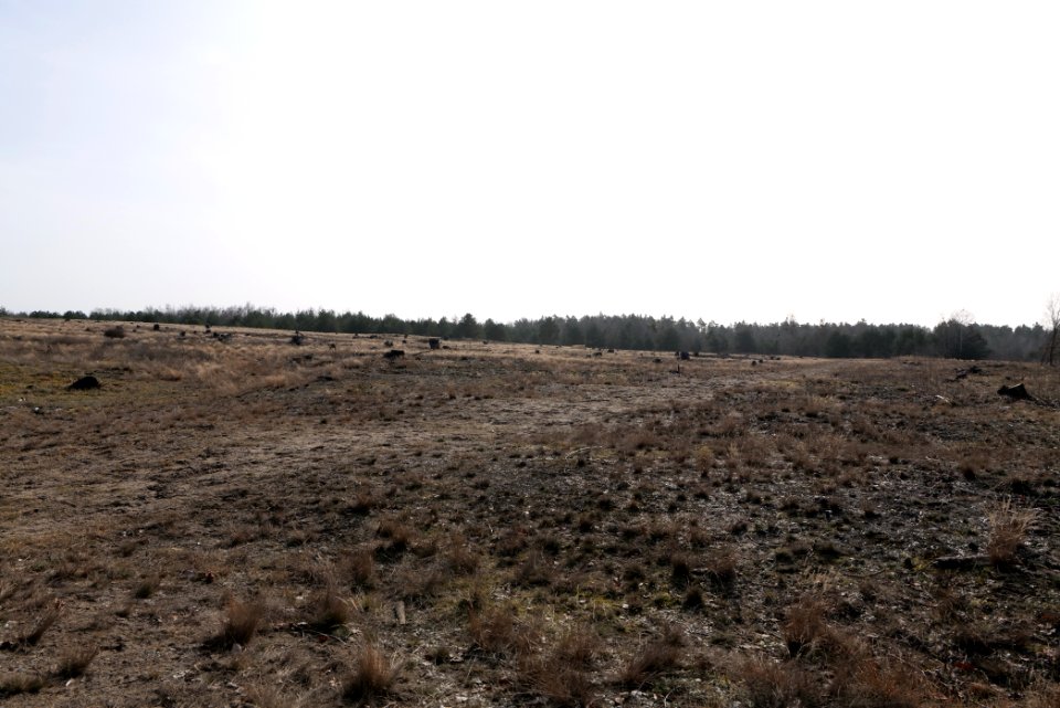 Parforceheide 2021-02-24 60