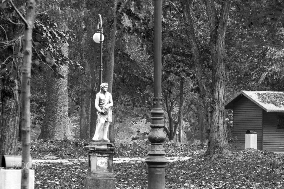 Parcul Romanescu Craiova (184513383)