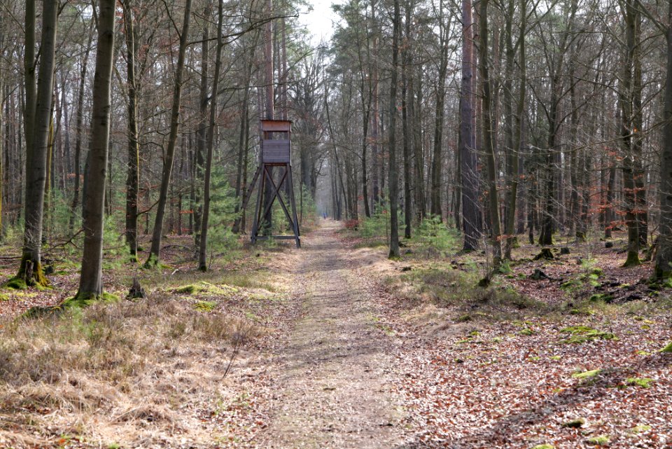 Parforceheide 2021-02-24 45
