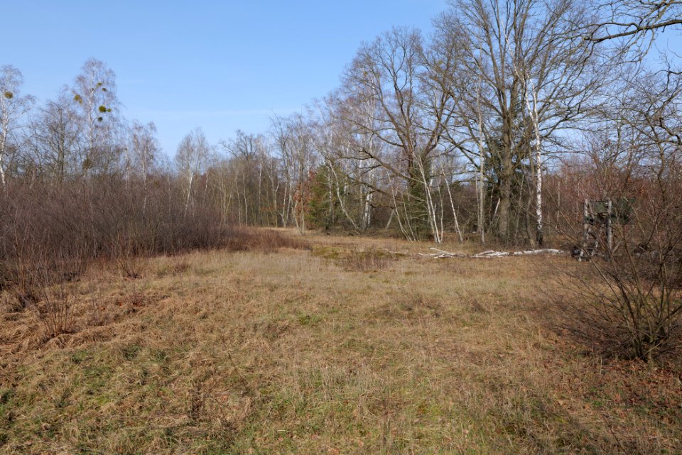 Parforceheide 2021-02-24 48