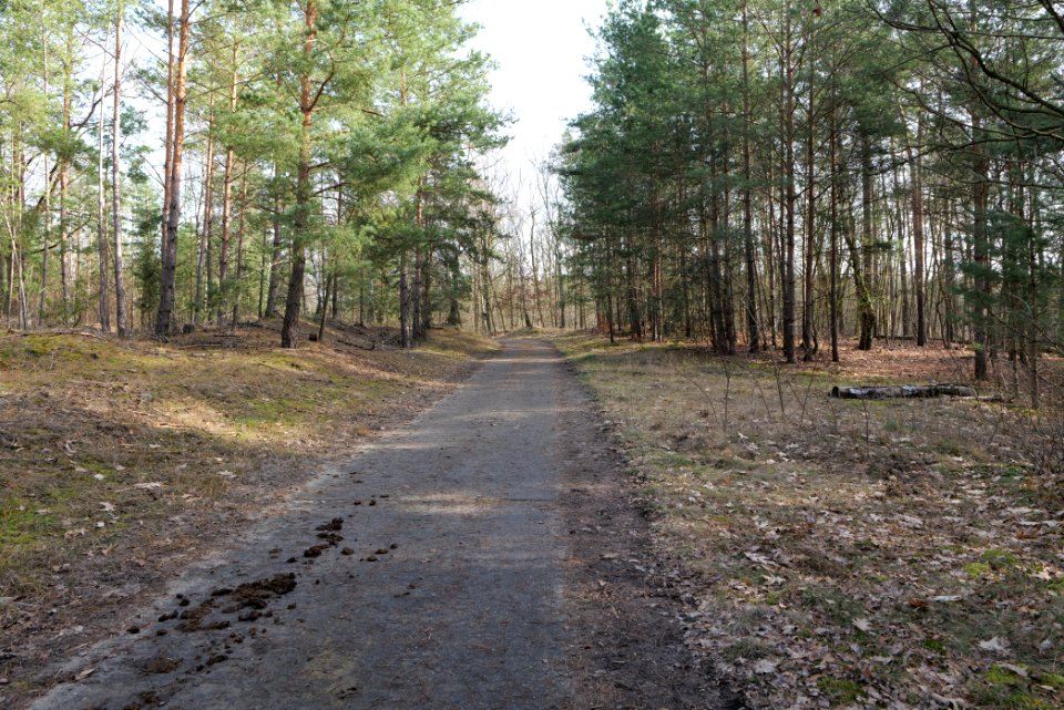 Parforceheide 2021-02-24 102