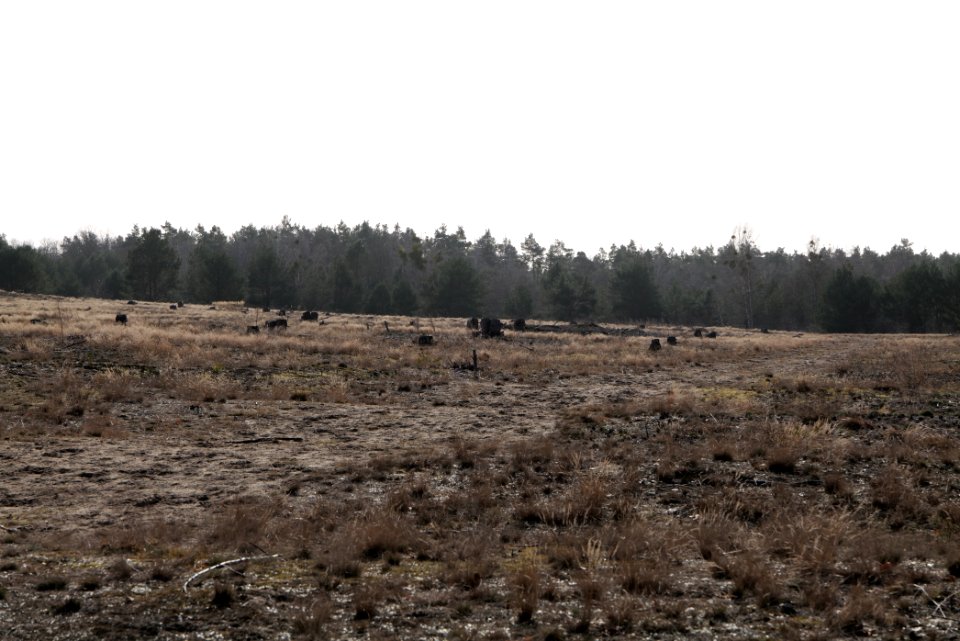 Parforceheide 2021-02-24 62
