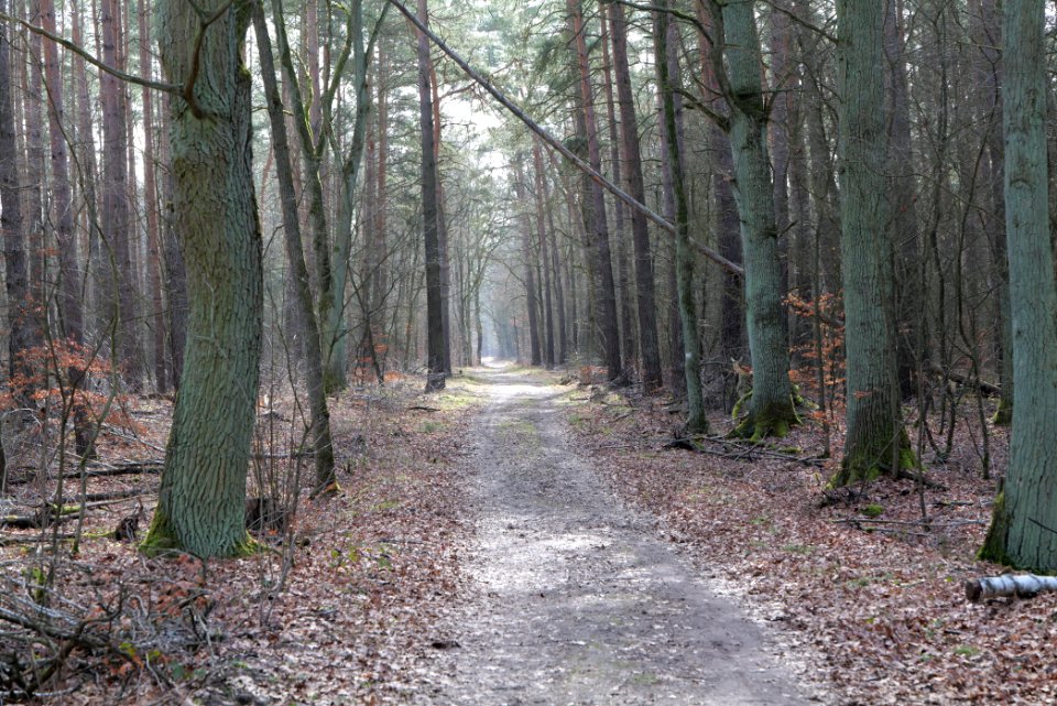 Parforceheide 2021-02-24 10