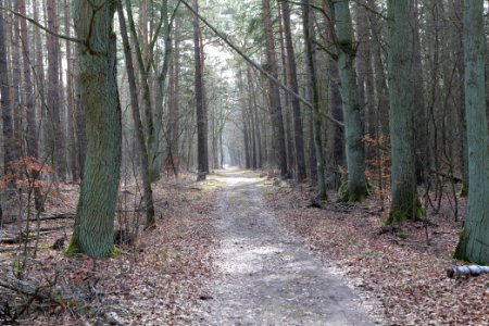 Parforceheide 2021-02-24 10