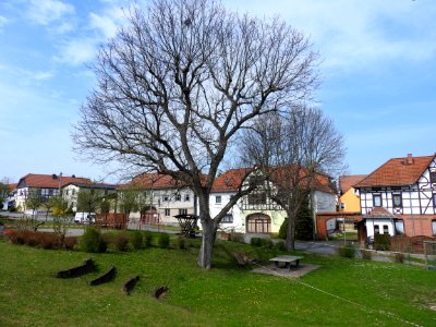 Paska 2