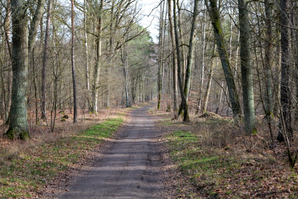 Parforceheide 2021-02-24 08