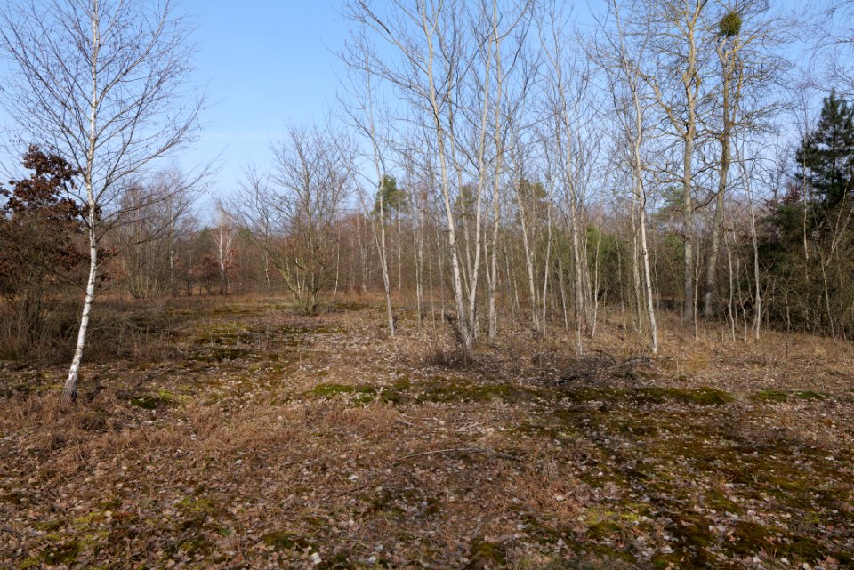 Parforceheide 2021-02-24 54