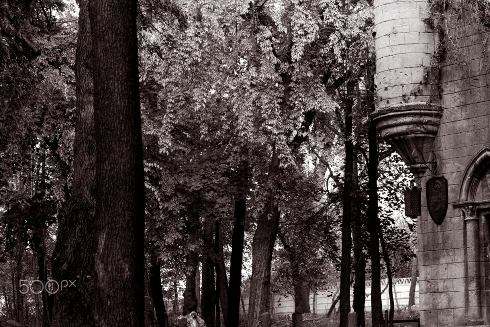 Parcul Romanescu Craiova (184513335)