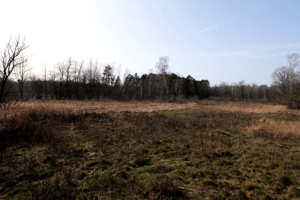 Parforceheide 2021-02-24 49