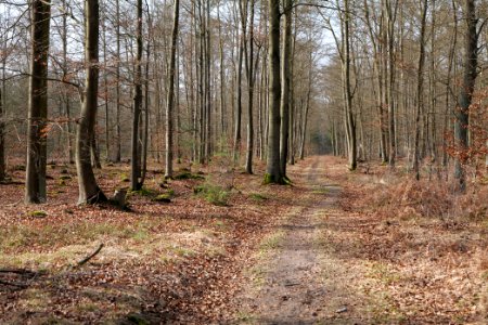 Parforceheide 2021-02-24 46
