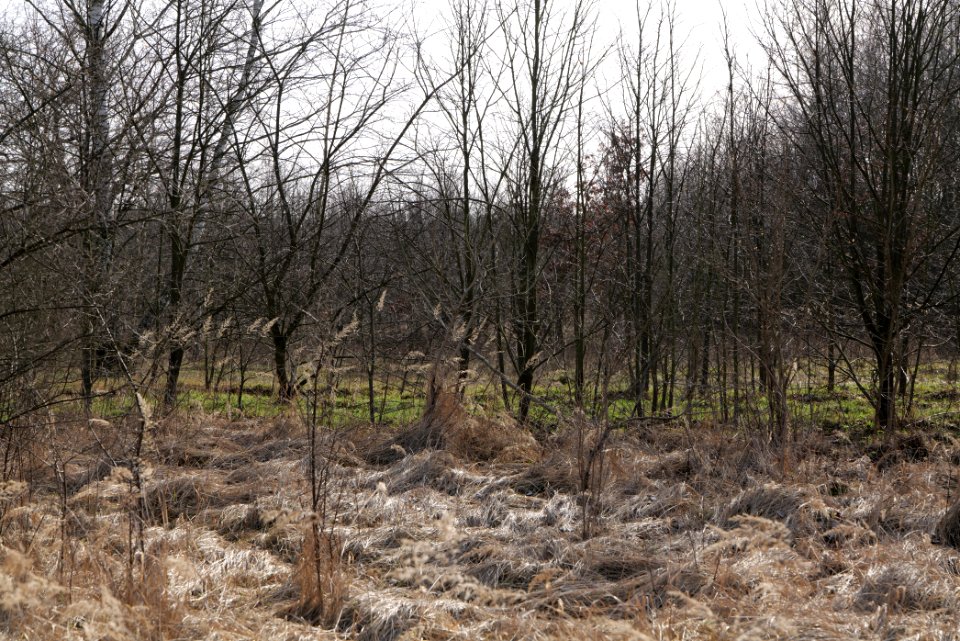 Parforceheide 2021-02-24 52