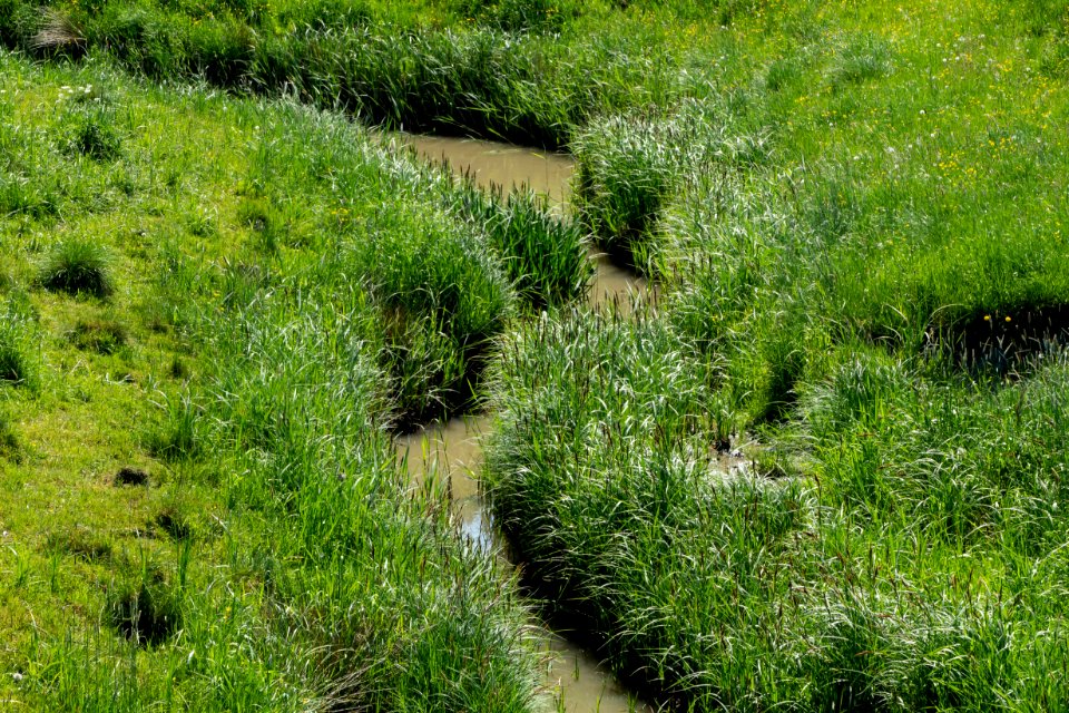 Part of Broälven nature reserve north of Brodalen Church
