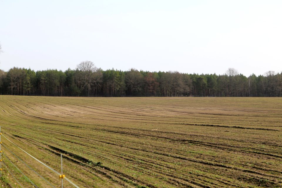 Parforceheide Wüste Mark 2021-02-24 03