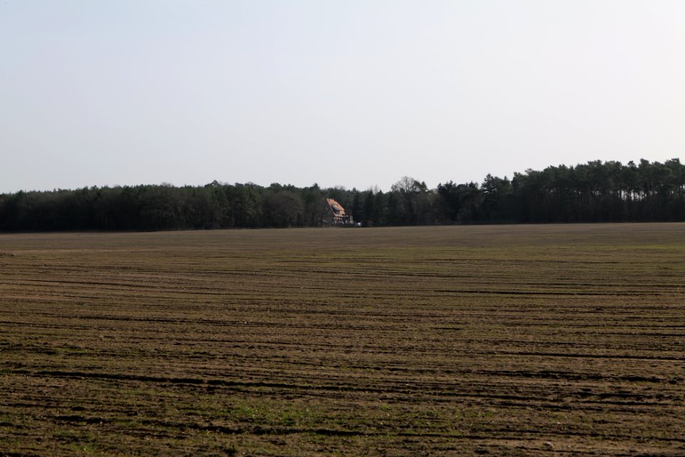 Parforceheide Wüste Mark 2021-02-24 14
