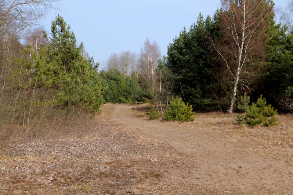 Parforceheide 2021-02-24 78