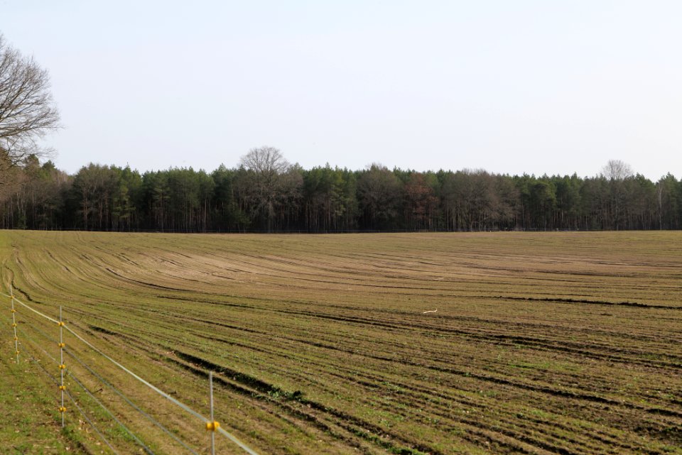 Parforceheide Wüste Mark 2021-02-24 02