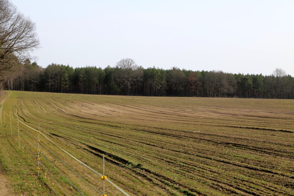Parforceheide Wüste Mark 2021-02-24 01