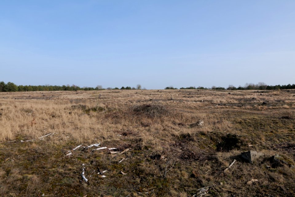 Parforceheide 2021-02-24 87