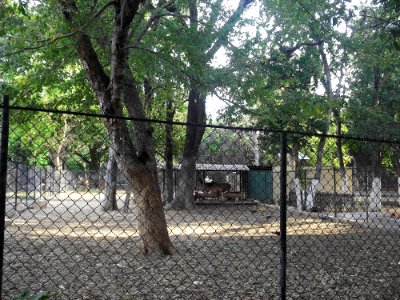 Parque Zoológico del Centenario, Mérida, Yucatán (23)