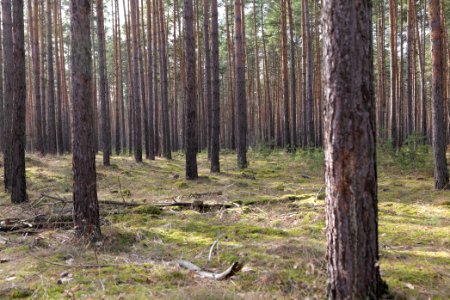 Parforceheide 2021-02-24 112