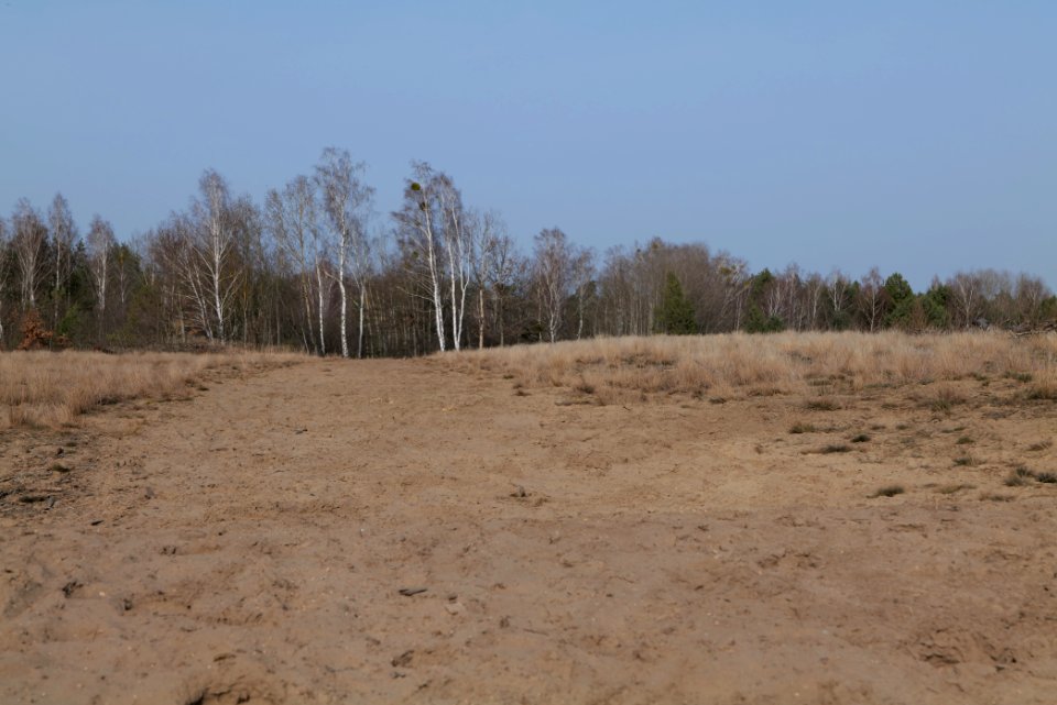 Parforceheide 2021-02-24 96